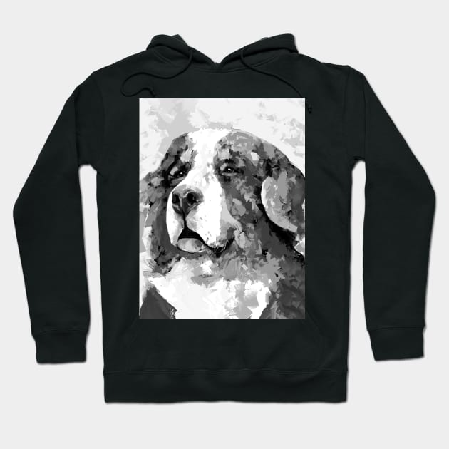 Black and White bernese mountain dog Hoodie by mailsoncello